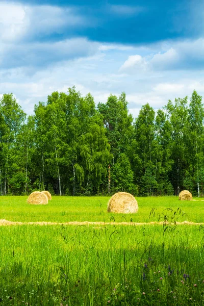 Çiftçiler kışın çiftlik hayvanları için saman hasat ederler. Dikey yönelim