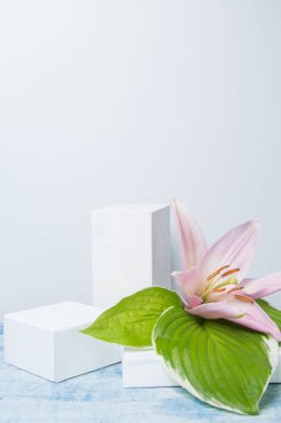 Nilüfer ve yeşil yaprakların renkleriyle podyum için üç geometrik biçimin yerleşimi. Dikey yönelim