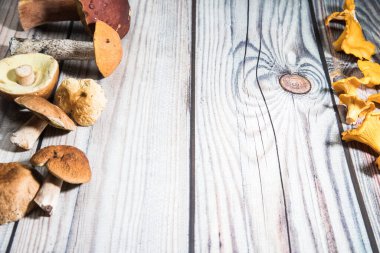 Ormanın bir tarafındaki ahşap bir masada mantarlar yatıyor, diğer tarafta mantarlar, mantarlar. Kopyalama alanı için bir yer. Yatay yönelim