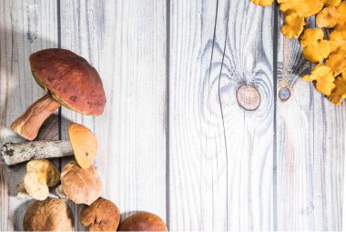 Ormanın bir tarafındaki ahşap bir masada mantarlar yatıyor, diğer tarafta mantarlar, mantarlar. Kopyalama alanı için bir yer. Yatay yönelim