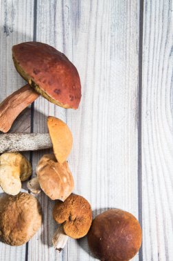 Ahşap bir masanın üzerinde masanın köşesinde orman mantarları var. Kopyalama alanı için bir yer. Yatay yönelim