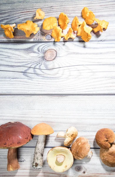 Wooden Table Lying One Side Forest Mushrooms Mushrooms Other Hand — Stock Photo, Image