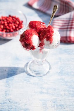 Arka planda kızılcıklı vejetaryen nohut dondurması. Dikey yönelim.