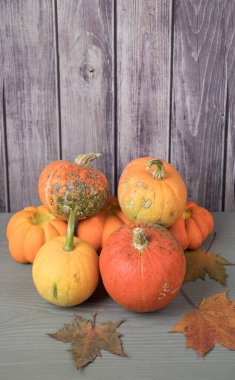 Gri ahşap arka planda sonbahar yapraklarıyla balkabağı hasadı piramidi.