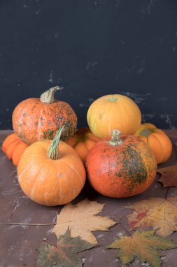 Balkabağı hasadı piramidi ve arka planda sonbahar yaprakları. Kopyalama alanı için yer