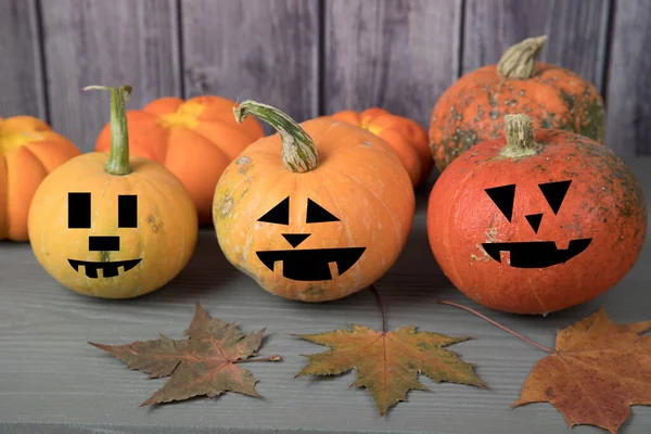 Pumpkins with masks for Halloween with autumn leaves on a gray wooden background.