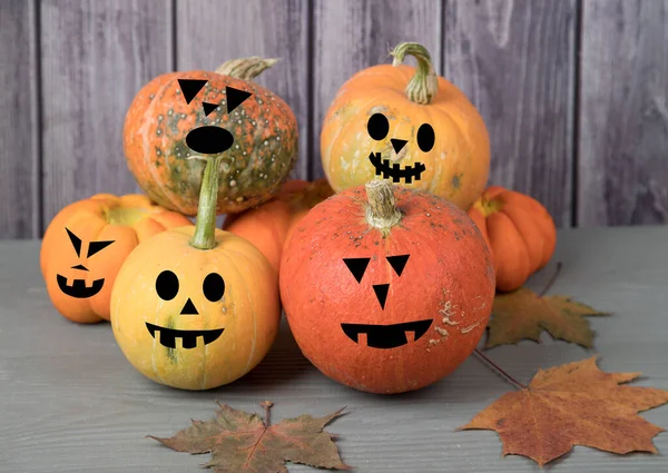 Balkabağı hasadı piramidi. Sonbahar yapraklı muhteşem maskeler. Cadılar bayramından önce gri ahşap arka planda..