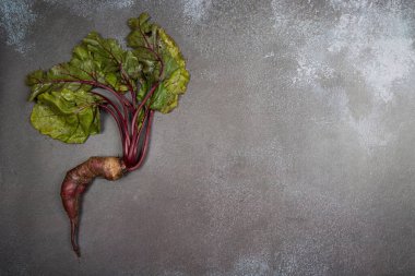 Deforme olmuş çirkin havuç kökü. Garip şekilli. Arka planda çeşitli uzantıları var. Uzayın bir kopyası için bir yer. Dikey yönelim