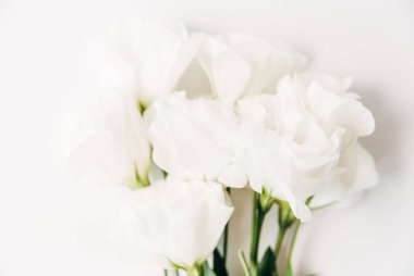 beyaz çiçekler, yeşil leaves.isolated white.mockup.flat üzerinde style.floral background.close-up görünümü yatıyordu..