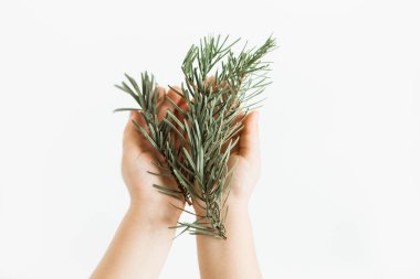 Firavun çam dalları ellerinde. Beyaz arka planda Noel ağacı. Uzayı kopyala Minimalist İskandinav tarzı