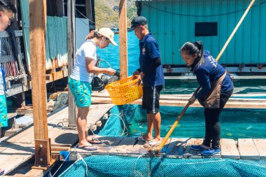 Con Dao Adası, Vietnam - 26 Mayıs 2020: Vietnam, Con Dao Adası 'nda yüzen balık çiftliğinde balık raftingi turisti ve manzarası. Mavi su ve taze balık.