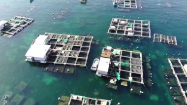 Binh Hung adasının turistlerle, balıkçı tekneleriyle, balıkçı köyleriyle ve yüzen botlarıyla Ninh Thuan eyaletinde deniz ürünleri yetiştiren sallarla dolu havadan görünüşü, Vietnam