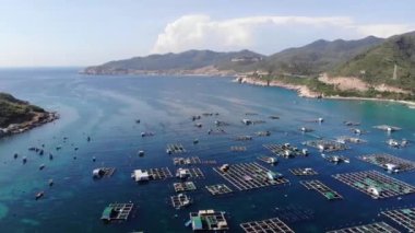 Binh Hung adasının turistlerle, balıkçı tekneleriyle, balıkçı köyleriyle ve yüzen botlarıyla Ninh Thuan eyaletinde deniz ürünleri yetiştiren sallarla dolu havadan görünüşü, Vietnam