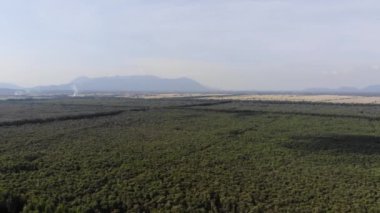 Güney Vietnam 'daki Mekong Nehri Delta bölgesindeki pirinç tarlaları arasında Tra Su Ormanı Turist Parkı' nın hava manzarası..
