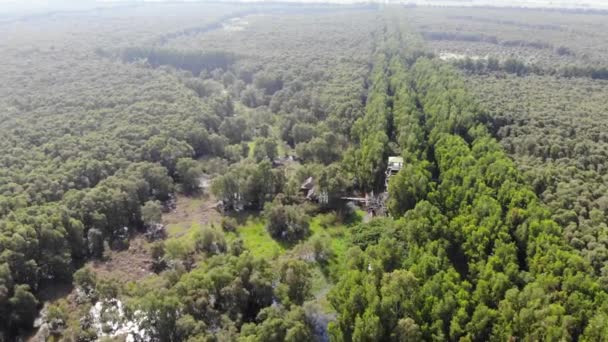 Vista Aérea Parque Turístico Florestal Tra Chau Doc Entre Campos — Vídeo de Stock