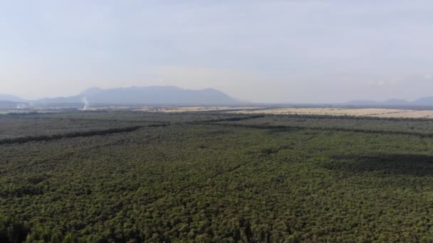 Vista Aérea Parque Turístico Florestal Tra Chau Doc Entre Campos — Vídeo de Stock