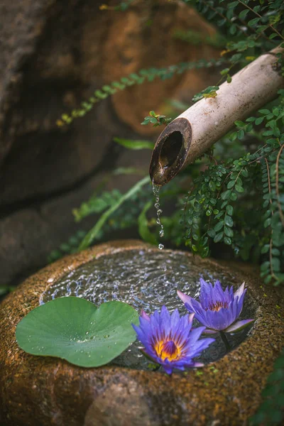 Hermoso Jardín Zen Con Flor Loto Fuente Bambú Sobre Fondo — Foto de Stock