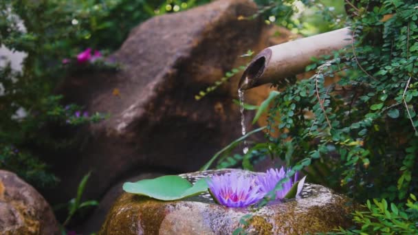 Hermoso Jardín Zen Con Flor Loto Fuente Bambú Sobre Fondo — Vídeos de Stock