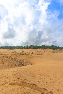 Kırmızı Kum tepeleri (yerel adı Doi Cat Do), ayrıca Altın Kum tepeleri olarak da bilinir, Hon Rom plajı yakınlarında, Mui Ne, Phan Thiet şehri. Burası Mui Ne 'de çekici bir turizm merkezi..