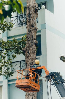 Ho Chi Minh şehri, Vietnam - 6 Ağustos 2020: Saigon, Vietnam 'da çalışan bir grup insan için turna kamyonu yolda, Vietnamlı işçiler yağmur mevsiminde yağmur mevsiminde ağaç dallarını kesmek için buharlı kaldırma üzerinde çalışıyorlar.