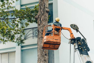 Ho Chi Minh şehri, Vietnam - 6 Ağustos 2020: Saigon, Vietnam 'da çalışan bir grup insan için turna kamyonu yolda, Vietnamlı işçiler yağmur mevsiminde yağmur mevsiminde ağaç dallarını kesmek için buharlı kaldırma üzerinde çalışıyorlar.