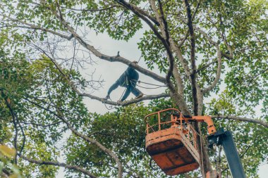 Ho Chi Minh şehri, Vietnam - 6 Ağustos 2020: Saigon, Vietnam 'da çalışan bir grup insan için turna kamyonu yolda, Vietnamlı işçiler yağmur mevsiminde yağmur mevsiminde ağaç dallarını kesmek için buharlı kaldırma üzerinde çalışıyorlar.