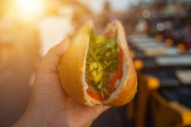 Banh Mi - Vietnam Sandviçi, hammaddeyle doldurulmuş ekmeğin popüler sokak yemekleri: domuz eti, jambon, börek, yumurta ve taze bitkiler. Gerçek Vietnam usulü Fransız ekmeği. Açık havada domuz eti..