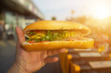 Banh Mi - Vietnam Sandviçi, hammaddeyle doldurulmuş ekmeğin popüler sokak yemekleri: domuz eti, jambon, börek, yumurta ve taze bitkiler. Gerçek Vietnam usulü Fransız ekmeği. Açık havada domuz eti..