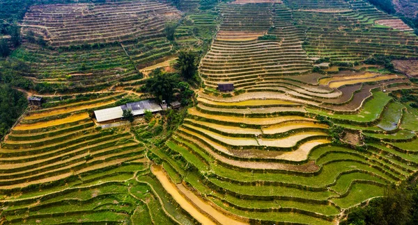 水田棚田 田園地帯や棚田の緑の農業分野の空中トップビュー ラオカイ県 アジアのベトナムの雲の山の景色 — ストック写真