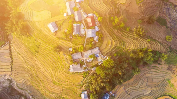 Vista Aérea Superior Terraços Arroz Paddy Campos Agrícolas Verdes Campo — Fotografia de Stock