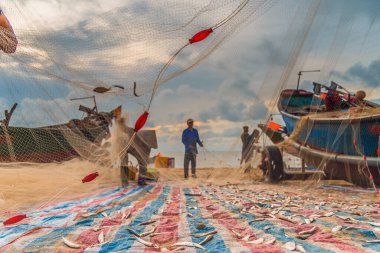 Vung Tau, Vietnam - 22 Ağustos 2020: Geleneksel olarak mavi ahşap tekneleri denizden kıyıya iten yerel balıkçıların manzarası, ağlardan balık avlama sahnesiyle şafak sökerken balıkları toplarlar..