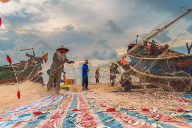 Vung Tau, Vietnam - 22 Ağustos 2020: Geleneksel olarak mavi ahşap tekneleri denizden kıyıya iten yerel balıkçıların manzarası, ağlardan balık avlama sahnesiyle şafak sökerken balıkları toplarlar..