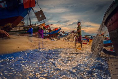 Vung Tau, Vietnam - 22 Ağustos 2020: Geleneksel olarak mavi ahşap tekneleri denizden kıyıya iten yerel balıkçıların manzarası, ağlardan balık avlama sahnesiyle şafak sökerken balıkları toplarlar..
