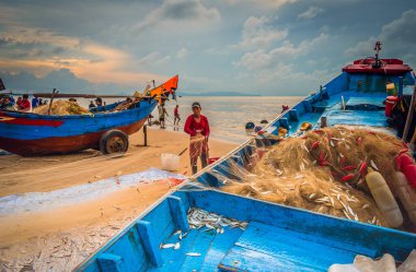 Vung Tau, Vietnam - 22 Ağustos 2020: Geleneksel olarak mavi ahşap tekneleri denizden kıyıya iten yerel balıkçıların manzarası, ağlardan balık avlama sahnesiyle şafak sökerken balıkları toplarlar..