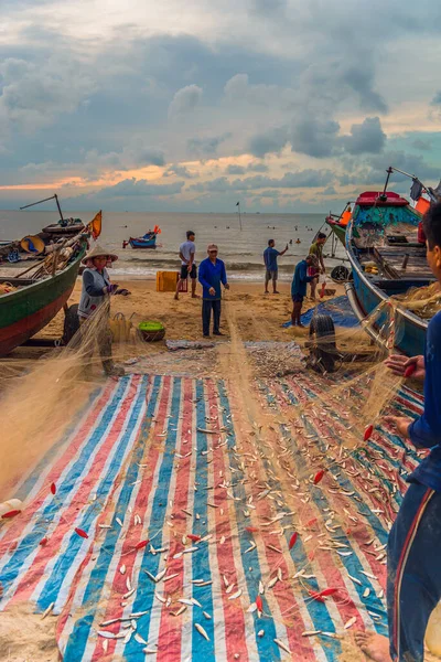Vung Tau, Vietnam - 22 Ağustos 2020: Geleneksel olarak mavi ahşap tekneleri denizden kıyıya iten yerel balıkçıların manzarası, ağlardan balık avlama sahnesiyle şafak sökerken balıkları toplarlar..