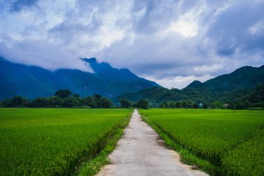 Lac köyü, Mai Chau Vadisi, Vietnam, Güneydoğu Asya 'da kırsal yolu olan bir pirinç tarlası. Seyahat ve doğa kavramı.
