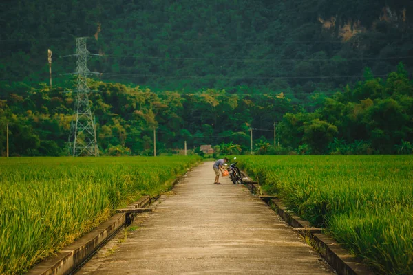Terraced Rice Field Rural Road Lac Village Mai Chau Valley — Stock Photo, Image