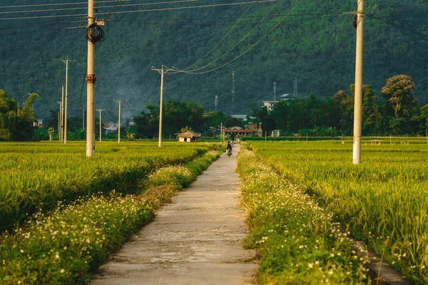계단식 논에는 백마을 베트남의 계곡에 도로가 여행과 — 스톡 사진