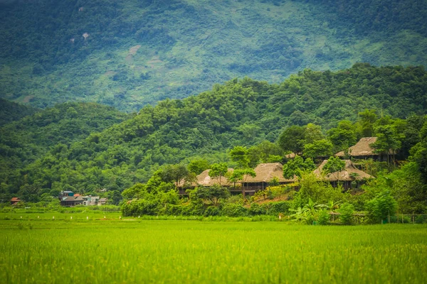 緑の水田と山 チェンマイチャウ谷 ベトナム 東南アジア 旅と自然概念 — ストック写真