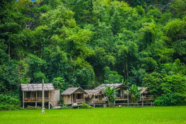 Conjunto Estadia Casa Casas Locais Uma Encosta Entre Campo Arroz — Fotografia de Stock