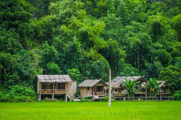 Conjunto Estadia Casa Casas Locais Uma Encosta Entre Campo Arroz — Fotografia de Stock