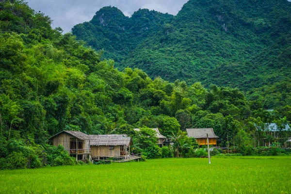 緑の田んぼと山の間の丘の中腹にある地元の家 チェンマイチャウ谷 ベトナム 東南アジアのクラスター 旅と自然概念 — ストック写真