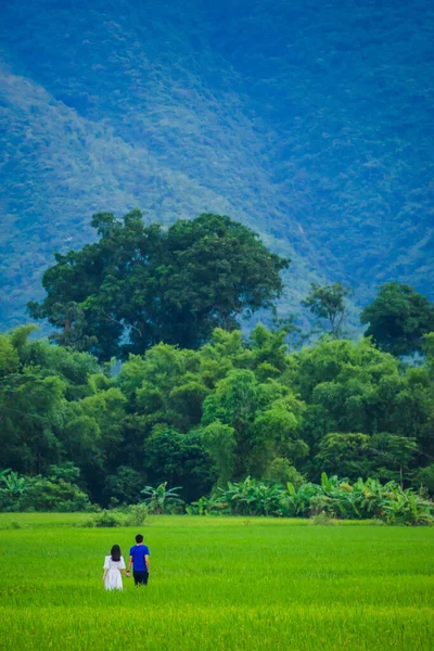 Πράσινο Χωράφι Ρυζιού Και Βουνά Mai Chau Valley Βιετνάμ Νοτιοανατολική — Φωτογραφία Αρχείου