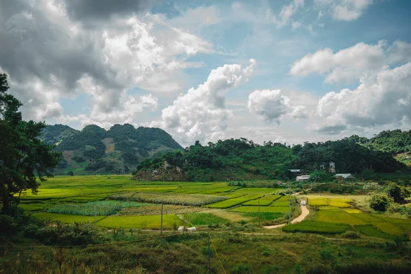Zielone Pola Ryżowe Wzgórza Widok Jeziora Ban Ang Moc Chau — Zdjęcie stockowe