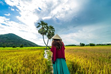 Koyu kırmızı ve yeşil renkli geleneksel kostüm giyen Vietnamlı kız sarı yeşil pirinç tarlasında yürüyen konik şapkalı ve iki palmiye ağacı olan Ba Den Dağı 'nın arka planında mavi gökyüzü. Seyahat kavramı.