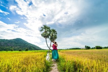 Koyu kırmızı ve yeşil renkli geleneksel kostüm giyen Vietnamlı kız sarı yeşil pirinç tarlasında yürüyen konik şapkalı ve iki palmiye ağacı olan Ba Den Dağı 'nın arka planında mavi gökyüzü. Seyahat kavramı.