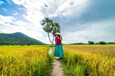 Koyu kırmızı ve yeşil renkli geleneksel kostüm giyen Vietnamlı kız sarı yeşil pirinç tarlasında yürüyen konik şapkalı ve iki palmiye ağacı olan Ba Den Dağı 'nın arka planında mavi gökyüzü. Seyahat kavramı.