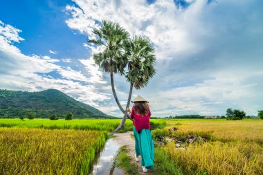 Koyu kırmızı ve yeşil renkli geleneksel kostüm giyen Vietnamlı kız sarı yeşil pirinç tarlasında yürüyen konik şapkalı ve iki palmiye ağacı olan Ba Den Dağı 'nın arka planında mavi gökyüzü. Seyahat kavramı.