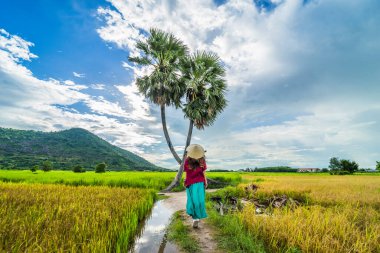 Koyu kırmızı ve yeşil renkli geleneksel kostüm giyen Vietnamlı kız sarı yeşil pirinç tarlasında yürüyen konik şapkalı ve iki palmiye ağacı olan Ba Den Dağı 'nın arka planında mavi gökyüzü. Seyahat kavramı.