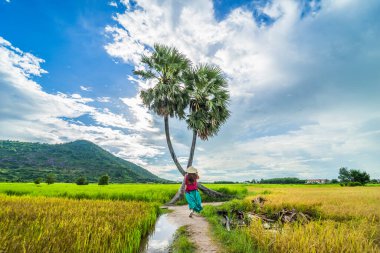 Koyu kırmızı ve yeşil renkli geleneksel kostüm giyen Vietnamlı kız sarı yeşil pirinç tarlasında yürüyen konik şapkalı ve iki palmiye ağacı olan Ba Den Dağı 'nın arka planında mavi gökyüzü. Seyahat kavramı.